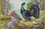 Рисунок на жесткой канве, 60х80см, арт. 10.544